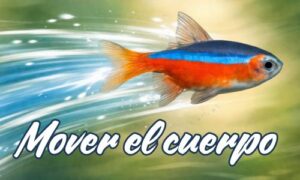 Mover el cuerpo no es solo una cuestión física. Es una forma directa —y muchas veces olvidada— de regular lo que sentimos.
