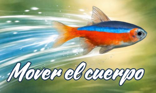 Mover el cuerpo no es solo una cuestión física. Es una forma directa —y muchas veces olvidada— de regular lo que sentimos.